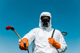 Best Organic or Eco-Friendly Pest Control  in Bridgeview, IL